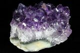 Dark Purple Amethyst Cluster - Nice Crystals #77004-1